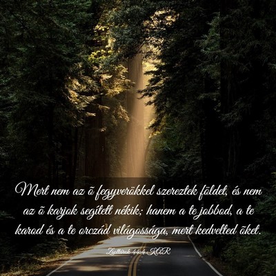 Picture 03 - Zsoltárok 44:4 KAR - Mert nem az õ fegyverökkel szereztek földet, - Bible Verse Picture