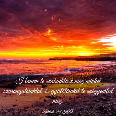 Picture 03 - Zsoltárok 44:8 KAR - Hanem te szabadítasz meg minket - Bible Verse Picture