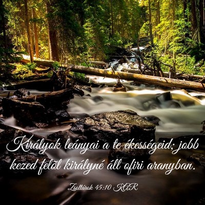 Picture 03 - Zsoltárok 45:10 KAR - Királyok leányai a te ékességeid; jobb kezed - Bible Verse Picture