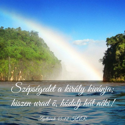 Picture 03 - Zsoltárok 45:12 KAR - Szépségedet a király kivánja; hiszen urad õ, - Bible Verse Picture