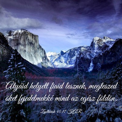 Picture 03 - Zsoltárok 45:17 KAR - Atyáid helyett fiaid lesznek, megteszed õket - Bible Verse Picture