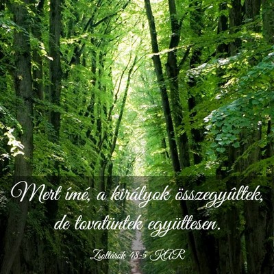 Picture 03 - Zsoltárok 48:5 KAR - Mert ímé, a királyok összegyûltek, de - Bible Verse Picture
