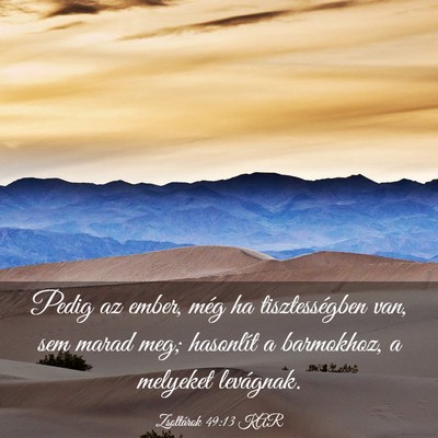 Picture 03 - Zsoltárok 49:13 KAR - Pedig az ember, még ha tisztességben van, sem - Bible Verse Picture