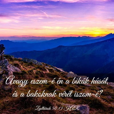 Picture 03 - Zsoltárok 50:13 KAR - Avagy eszem-é én a bikák húsát, és a - Bible Verse Picture