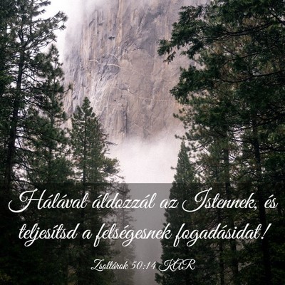 Picture 03 - Zsoltárok 50:14 KAR - Hálával áldozzál az Istennek, és teljesítsd - Bible Verse Picture