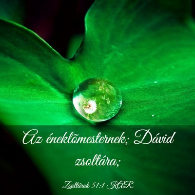 Picture 03 - Zsoltárok 51:1 KAR - Az éneklõmesternek; Dávid - Bible Verse Picture