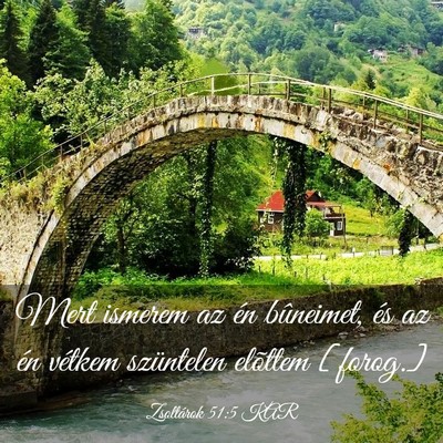 Picture 03 - Zsoltárok 51:5 KAR - Mert ismerem az én bûneimet, és az én vétkem - Bible Verse Picture