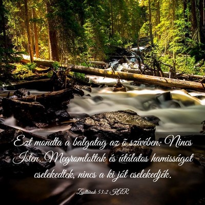 Picture 03 - Zsoltárok 53:2 KAR - Ezt mondta a balgatag az õ szívében: Nincs - Bible Verse Picture