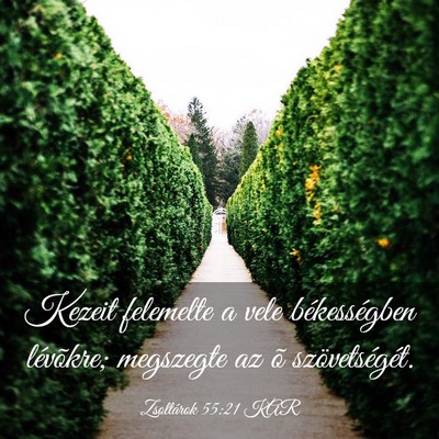 Picture 03 - Zsoltárok 55:21 KAR - Kezeit felemelte a vele békességben lévõkre; - Bible Verse Picture