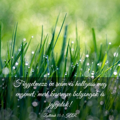 Picture 03 - Zsoltárok 55:3 KAR - Figyelmezz én reám és hallgass meg engemet; - Bible Verse Picture