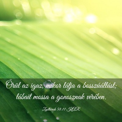 Picture 03 - Zsoltárok 58:11 KAR - Örül az igaz, mikor látja a bosszúállást; - Bible Verse Picture