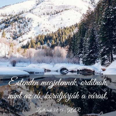 Picture 03 - Zsoltárok 59:15 KAR - Estenden megjelennek, ordítnak, mint az eb, - Bible Verse Picture