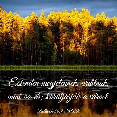 Picture 03 - Zsoltárok 59:7 KAR - Estenden megjelennek, ordítnak, mint az eb; - Bible Verse Picture