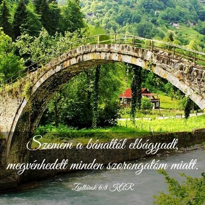 Picture 03 - Zsoltárok 6:8 KAR - Szemem a bánattól elbágyadt, megvénhedett - Bible Verse Picture