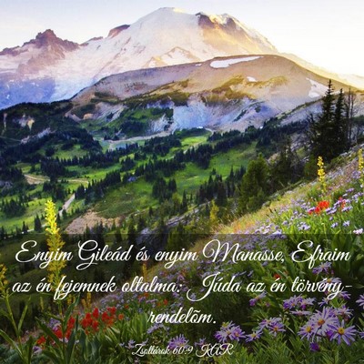 Picture 03 - Zsoltárok 60:9 KAR - Enyim Gileád és enyim Manasse, Efraim az én - Bible Verse Picture