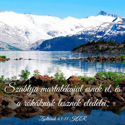 Picture 03 - Zsoltárok 63:11 KAR - Szablya martalékaiul esnek el, és a rókáknak - Bible Verse Picture