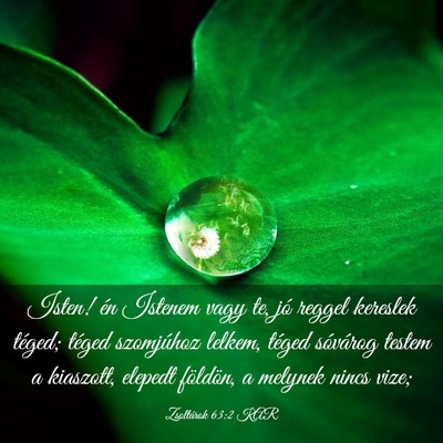 Picture 03 - Zsoltárok 63:2 KAR - Isten! én Istenem vagy te, jó reggel kereslek - Bible Verse Picture