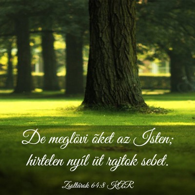 Picture 03 - Zsoltárok 64:8 KAR - De meglövi õket az Isten; hirtelen nyíl üt - Bible Verse Picture