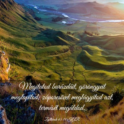 Picture 03 - Zsoltárok 65:11 KAR - Megitatod barázdáit, göröngyeit meglapítod; - Bible Verse Picture