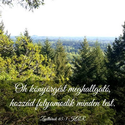 Picture 03 - Zsoltárok 65:3 KAR - Oh könyörgést meghallgató, hozzád folyamodik - Bible Verse Picture