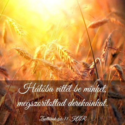 Picture 03 - Zsoltárok 66:11 KAR - Hálóba vittél be minket, megszorítottad - Bible Verse Picture