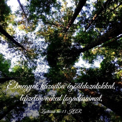 Picture 03 - Zsoltárok 66:13 KAR - Elmegyek házadba égõáldozatokkal, lefizetem - Bible Verse Picture