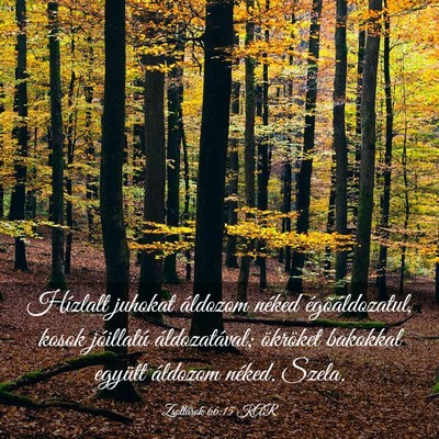 Picture 03 - Zsoltárok 66:15 KAR - Hízlalt juhokat áldozom néked égõáldozatul, - Bible Verse Picture