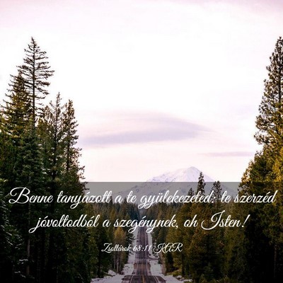 Picture 03 - Zsoltárok 68:11 KAR - Benne tanyázott a te gyülekezeted: te szerzéd - Bible Verse Picture