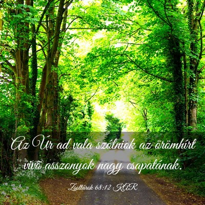 Picture 03 - Zsoltárok 68:12 KAR - Az Úr ad vala szólniok az örömhírt vivõ - Bible Verse Picture