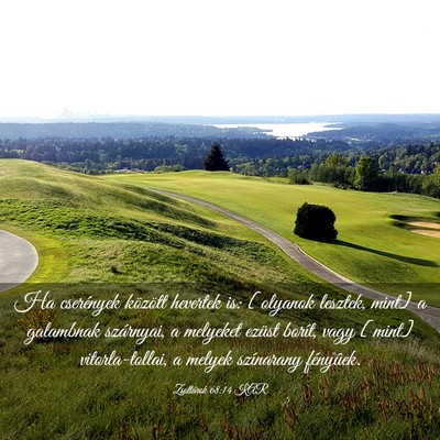 Picture 03 - Zsoltárok 68:14 KAR - Ha cserények között hevertek is: [olyanok - Bible Verse Picture