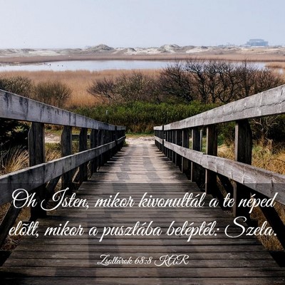 Picture 03 - Zsoltárok 68:8 KAR - Oh Isten, mikor kivonultál a te néped elõtt, - Bible Verse Picture