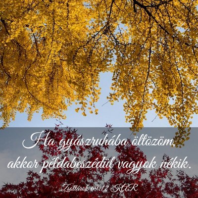 Picture 03 - Zsoltárok 69:12 KAR - Ha gyászruhába öltözöm, akkor - Bible Verse Picture