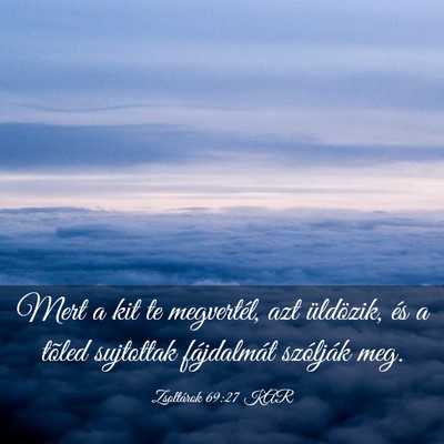 Picture 03 - Zsoltárok 69:27 KAR - Mert a kit te megvertél, azt üldözik, és a - Bible Verse Picture