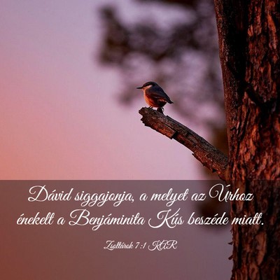 Picture 03 - Zsoltárok 7:1 KAR - Dávid siggajonja, a melyet az Úrhoz énekelt a - Bible Verse Picture