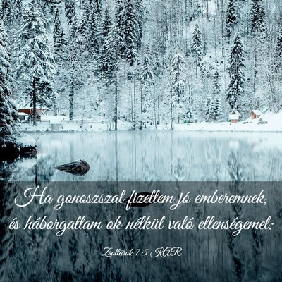 Picture 03 - Zsoltárok 7:5 KAR - Ha gonoszszal fizettem jó emberemnek, és - Bible Verse Picture