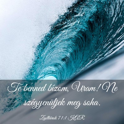 Picture 03 - Zsoltárok 71:1 KAR - Te benned bízom, Uram! Ne szégyenüljek meg - Bible Verse Picture