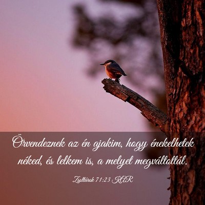 Picture 03 - Zsoltárok 71:23 KAR - Örvendeznek az én ajakim, hogy énekelhetek - Bible Verse Picture