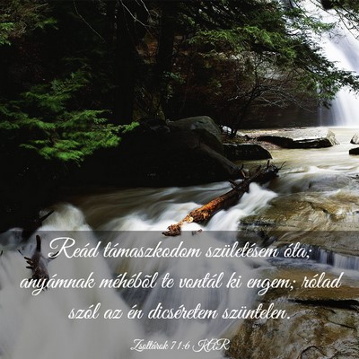Picture 03 - Zsoltárok 71:6 KAR - Reád támaszkodom születésem óta; anyámnak - Bible Verse Picture