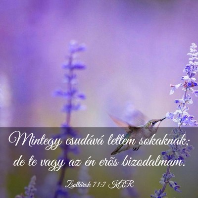Picture 03 - Zsoltárok 71:7 KAR - Mintegy csudává lettem sokaknak; de te vagy az - Bible Verse Picture