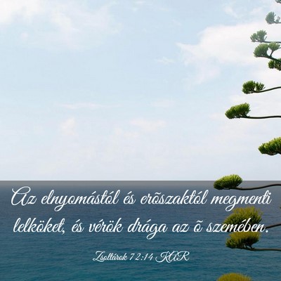 Picture 03 - Zsoltárok 72:14 KAR - Az elnyomástól és erõszaktól megmenti - Bible Verse Picture