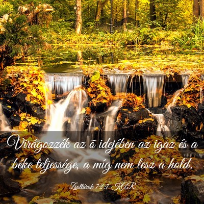 Picture 03 - Zsoltárok 72:7 KAR - Virágozzék az õ idejében az igaz és a béke - Bible Verse Picture