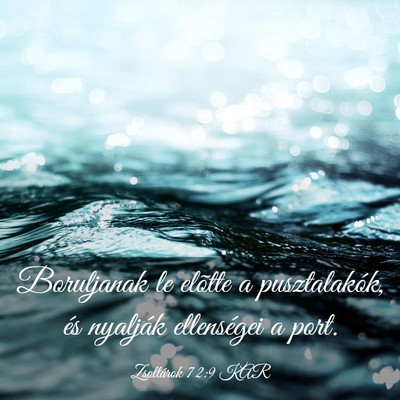 Picture 03 - Zsoltárok 72:9 KAR - Boruljanak le elõtte a pusztalakók, és - Bible Verse Picture