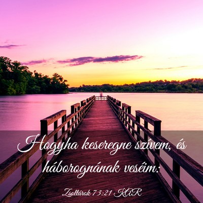 Picture 03 - Zsoltárok 73:21 KAR - Hogyha keseregne szívem, és háborognának - Bible Verse Picture