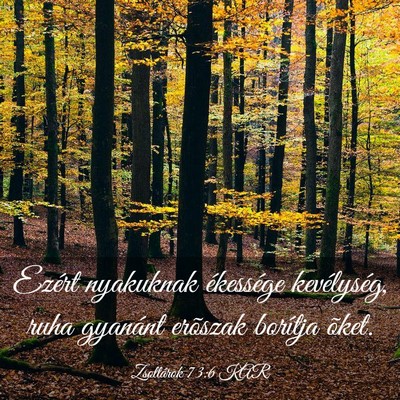 Picture 03 - Zsoltárok 73:6 KAR - Ezért nyakuknak ékessége kevélység, ruha - Bible Verse Picture