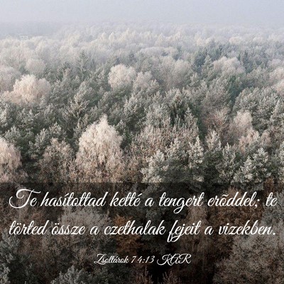Picture 03 - Zsoltárok 74:13 KAR - Te hasítottad ketté a tengert erõddel; te - Bible Verse Picture