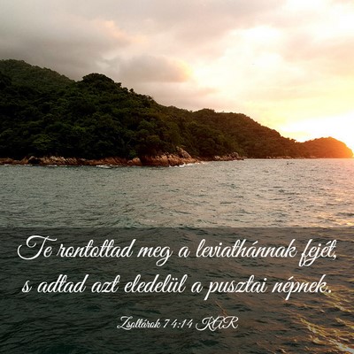 Picture 03 - Zsoltárok 74:14 KAR - Te rontottad meg a leviathánnak fejét, s adtad - Bible Verse Picture