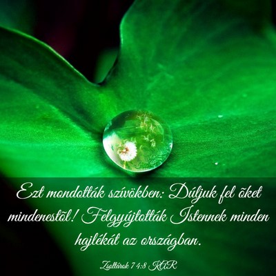 Picture 03 - Zsoltárok 74:8 KAR - Ezt mondották szívökben: Dúljuk fel õket - Bible Verse Picture