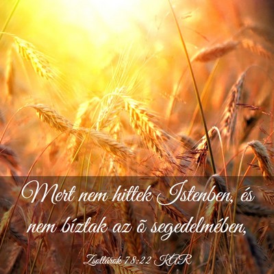 Picture 03 - Zsoltárok 78:22 KAR - Mert nem hittek Istenben, és nem bíztak az õ - Bible Verse Picture