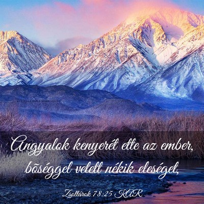 Picture 03 - Zsoltárok 78:25 KAR - Angyalok kenyerét ette az ember, bõséggel - Bible Verse Picture
