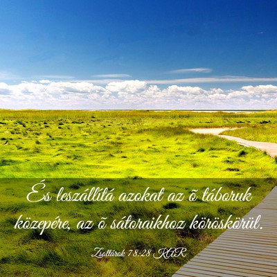 Picture 03 - Zsoltárok 78:28 KAR - És leszállítá azokat az õ táboruk - Bible Verse Picture